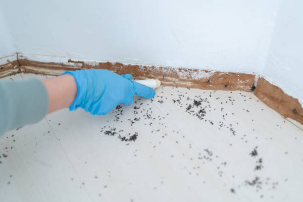 Best Real Estate Pest Inspections  in Sapulpa, OK